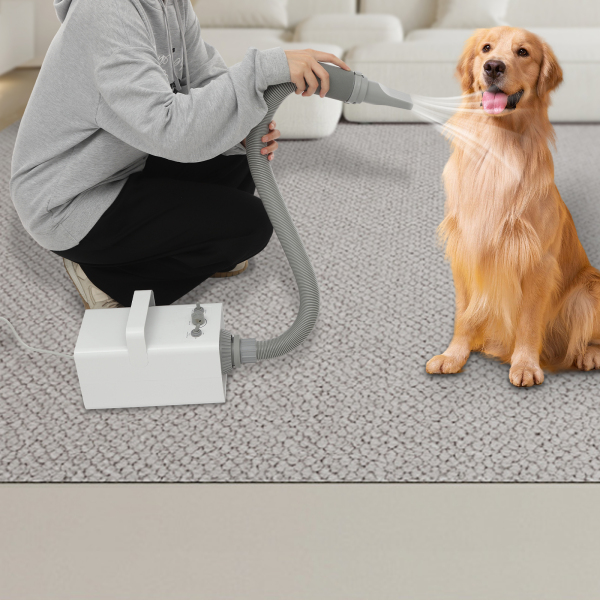 CNCEST Pet Grooming Dryer, Smart Force Dog Blower, Dog Pet Dryer