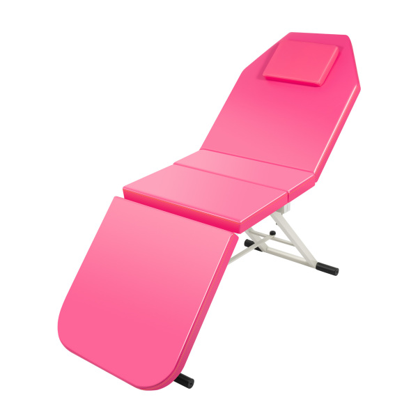 Foldable Massage Table Portable Bed Tattoo Bed Recliner Couch SPA Chair Beauty Salon PU Leather Pad (Pink)