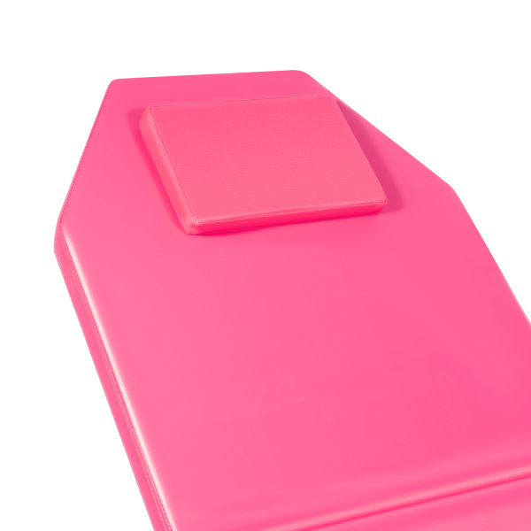 Foldable Massage Table Portable Bed Tattoo Bed Recliner Couch SPA Chair Beauty Salon PU Leather Pad (Pink)
