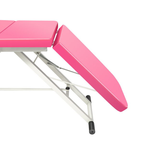 Foldable Massage Table Portable Bed Tattoo Bed Recliner Couch SPA Chair Beauty Salon PU Leather Pad (Pink)
