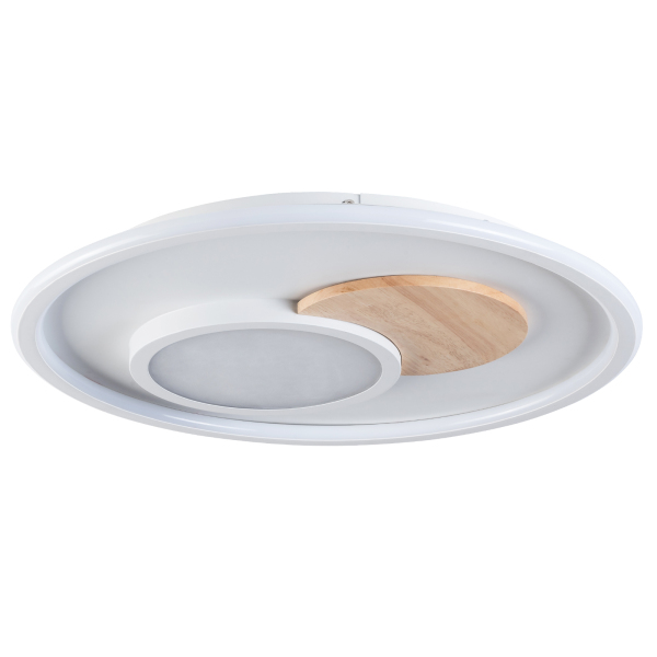 LED Ceiling Light Ceiling Lamp Dimmable with Remote Control Round Ceiling Light for Living Room/Bedroom/Office/Corridor/Kitchen Cozy Light