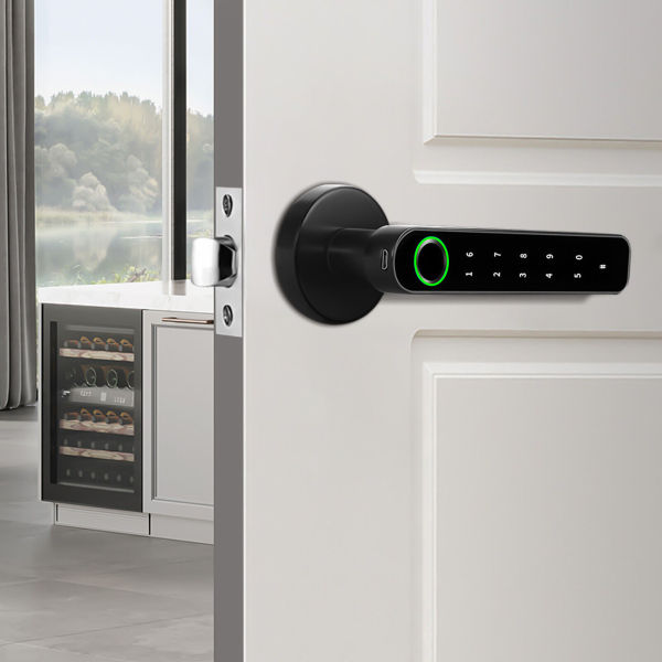 Biometric Fingerprint Digital Keypad Keyless Entry Code Smart Door Lock +Handle