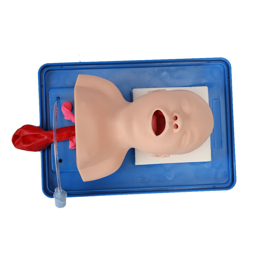 Intubation Manikin Study Teaching Baby Model Lab Airway Management ...
