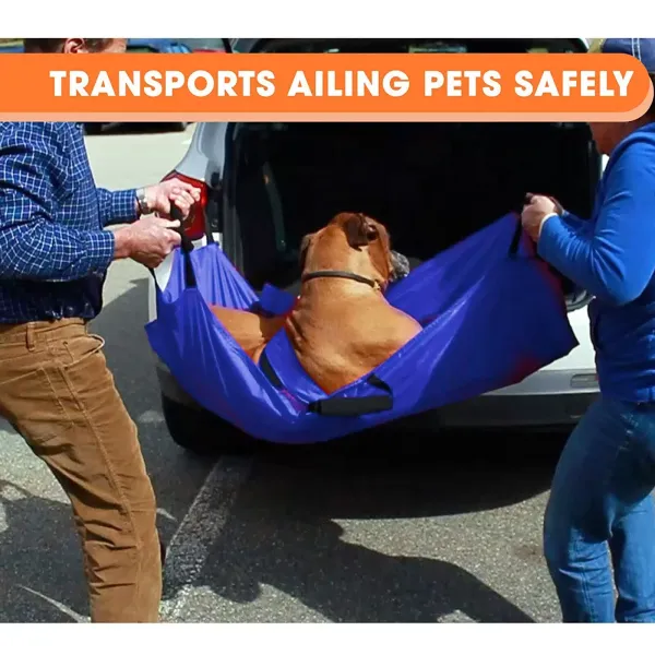 Professional Pet Transport Stretcher Anti Bite Pet Stretcher Animal Carrier Folding Animal Carrier Bed Accessory Safety Load 110kg(242LBS)