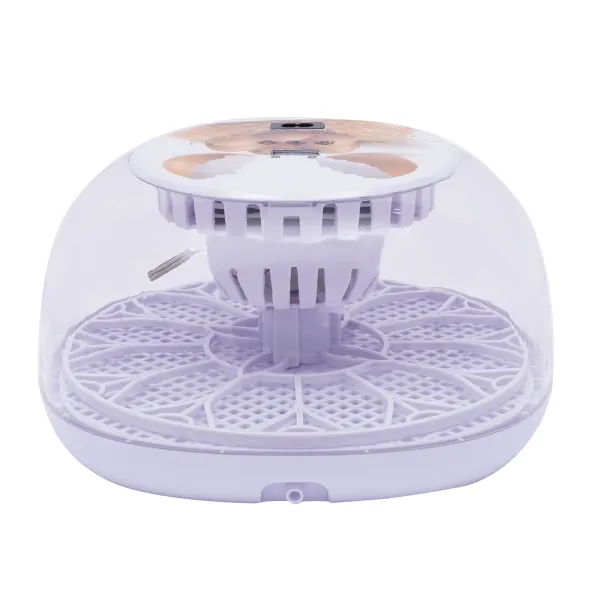 Egg Incubator Temperature Control Hatching Machine Automatic Incubator for Chickens Ducks  Birds 12 Eggs