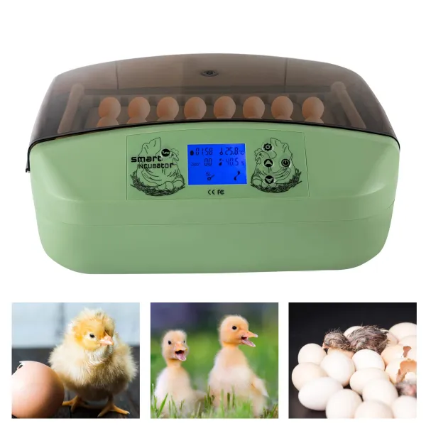 32 Eggs Incubator Intelligent Digital Egg Incubator Intelligent Automatic Egg Rotating Incubator For Duck Eggs For Home Use Suitable For Family