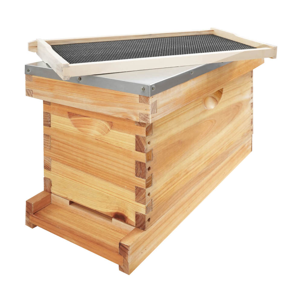 Apiculture Box Bee Incubator, Beekeeping Box with Nest Frame and Foundation, 5-Frame ...