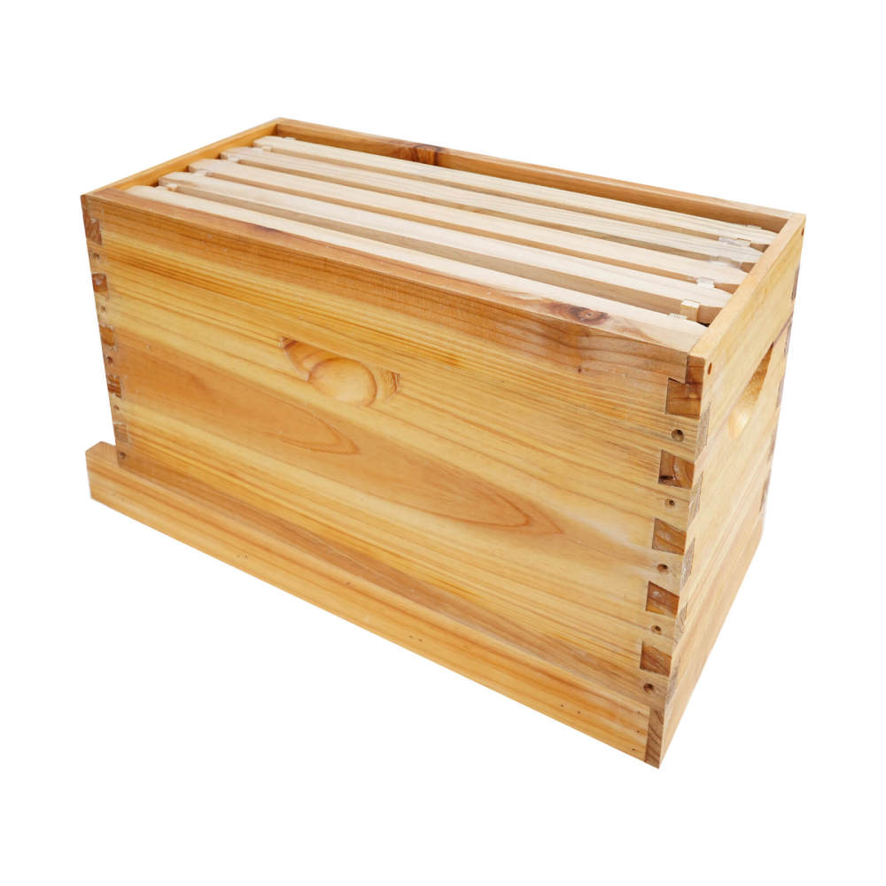 Apiculture Box Bee Incubator, Beekeeping Box with Nest Frame and Foundation, 5-Frame ...