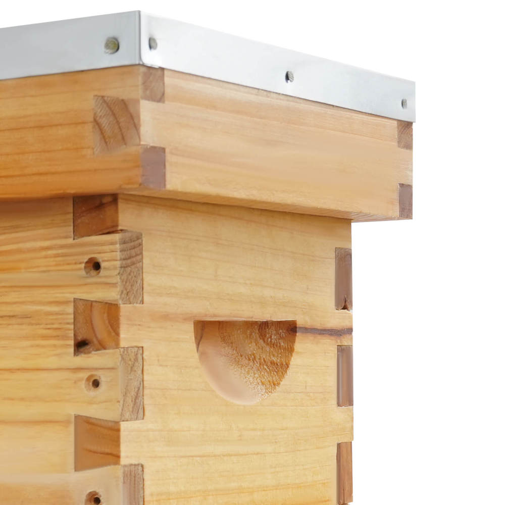 Apiculture Box Bee Incubator, Beekeeping Box with Nest Frame and Foundation, 5-Frame ...