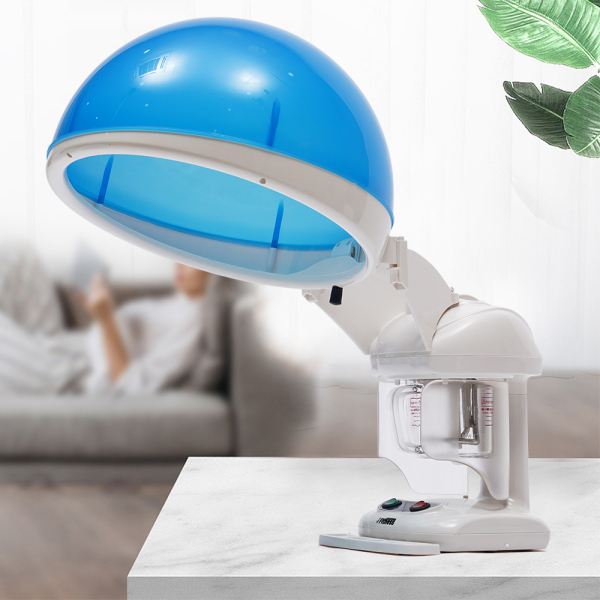Hair and Facial Steamer 2 In 1 Ionic Ozone Facial And Hair Steamer Home Use Beauty Instrument Ozone Steaming Ion Sprayer Hot Mist Moisturizing