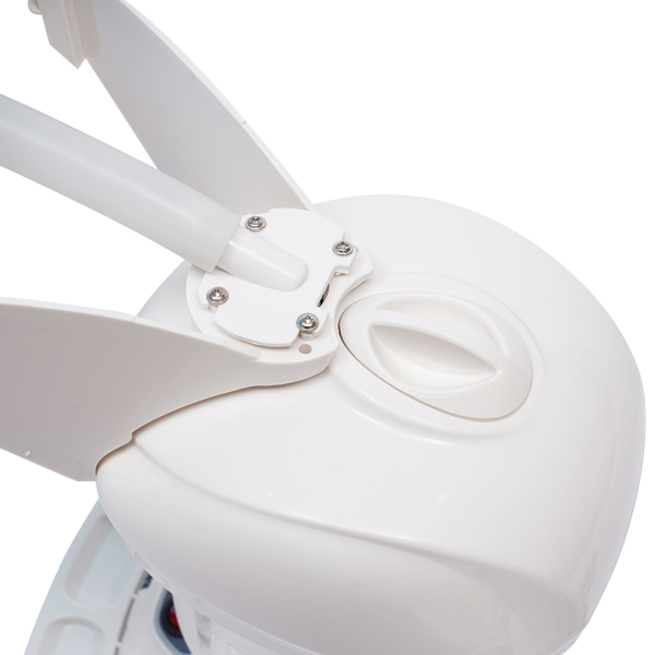 Hair and Facial Steamer 2 In 1 Ionic Ozone Facial And Hair Steamer Home Use Beauty Instrument Ozone Steaming Ion Sprayer Hot Mist Moisturizing